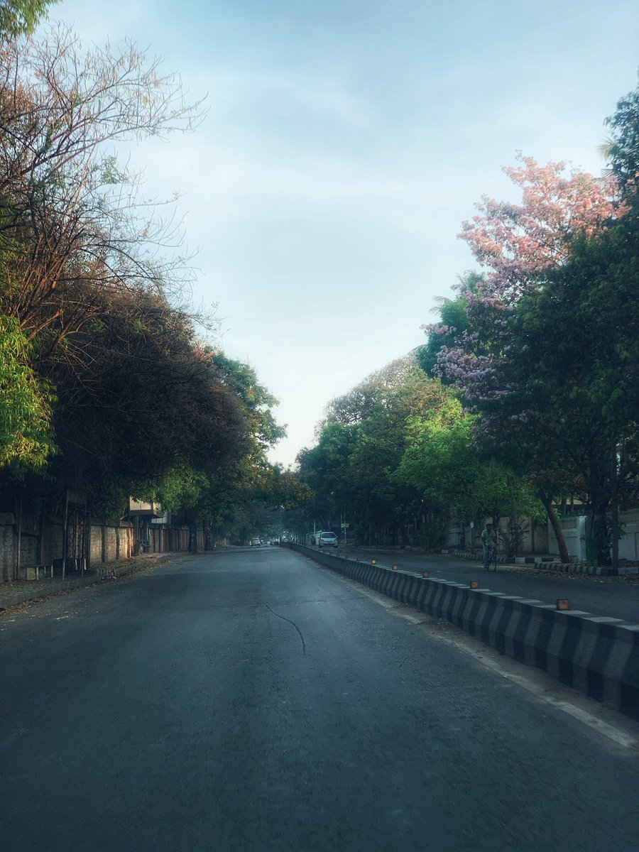saminorbit's tweet photo. Blooming lockdown #naturetakesover https://t.co/DRgxv3IIQk