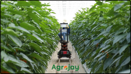 Agrojay_'s tweet photo. https://t.co/DYHB5eJbAu
With the #growing adoption of the #InternetOfThings (IoT), connected #devices have #penetrated every aspect of our life, from #health and #fitness, home #AUTOMATION, automotive and #logistics logistics, to smart cities and industrial #IoT.
@nashik_feed https://t.co/VGJESuKLtg