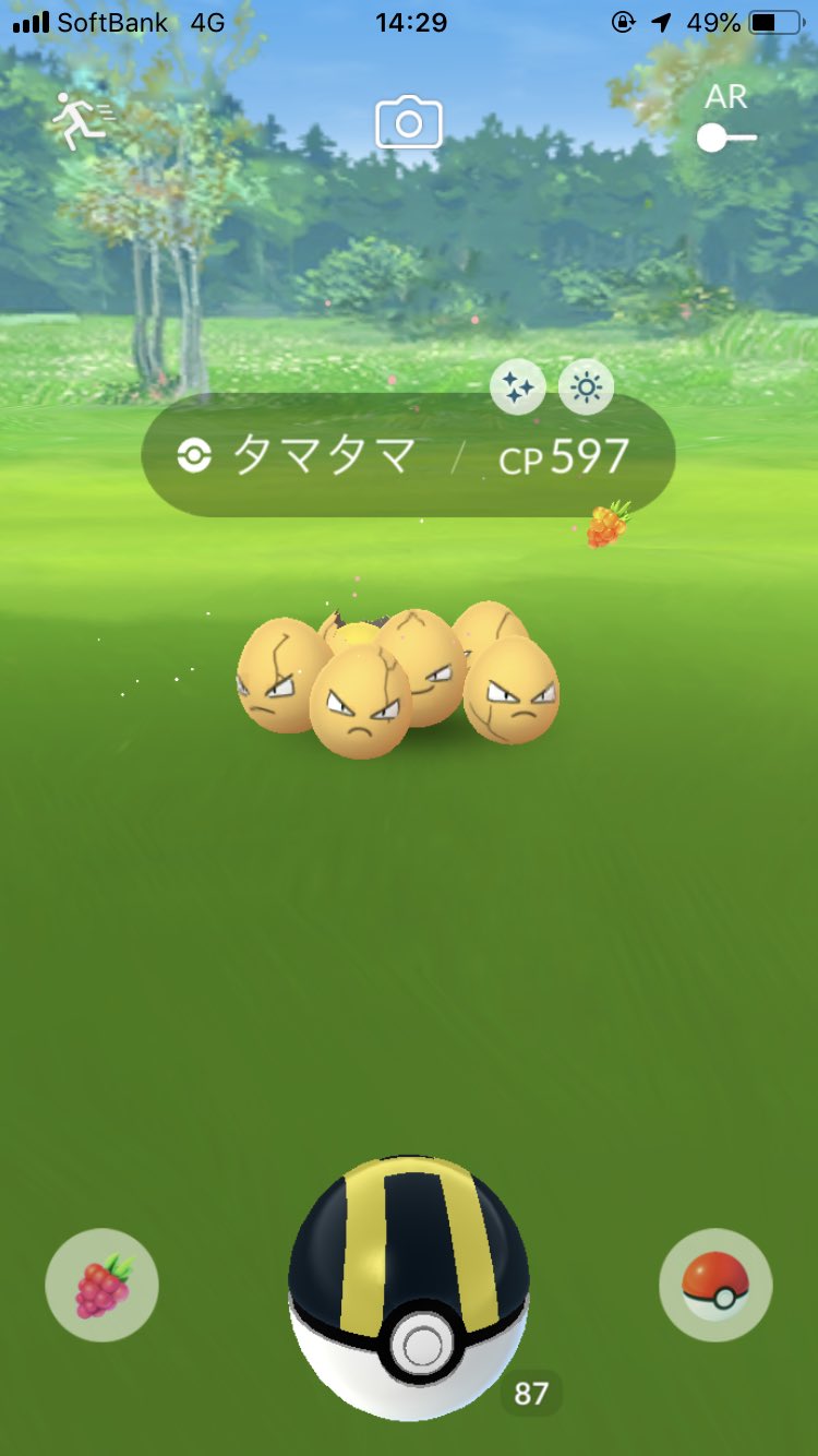 今夜もカツ丼 金タマタマきたーー きみのタマタマは平均より 大きい だそうです笑 ポケモンgo タマタマ 色違い 今夜もカツ丼 金タマタマきたーー きみのタマタマは平均より 大きい だそうです笑 ポケモンgo タマタマ 色違い