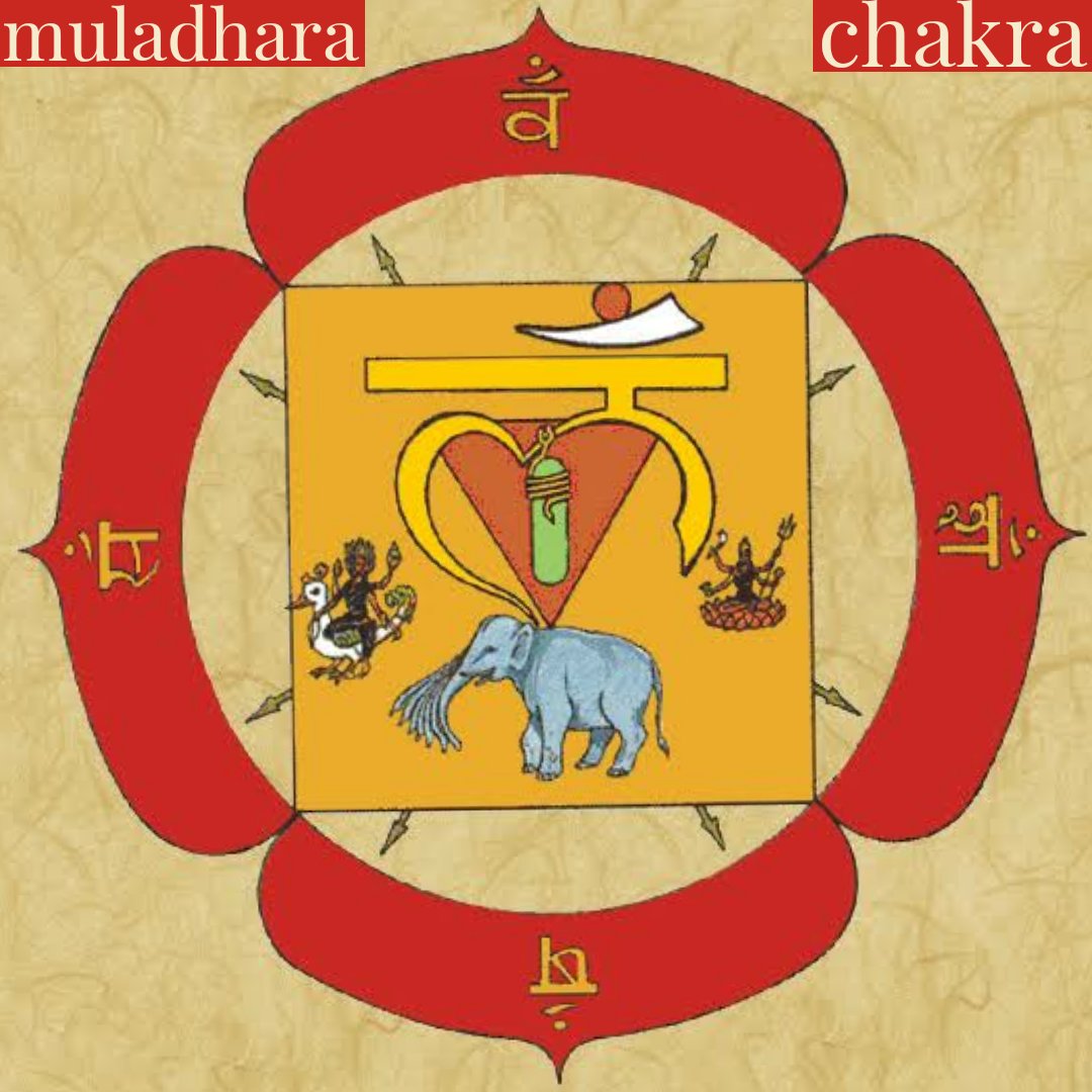 The below pictures contain few genuine knowledge on Muladhara Chakara (root chakra) plz Share and help preserve the true system  again only sadanas can gain you true knowledge and energy don't let desire takeover you in Spiritual path.