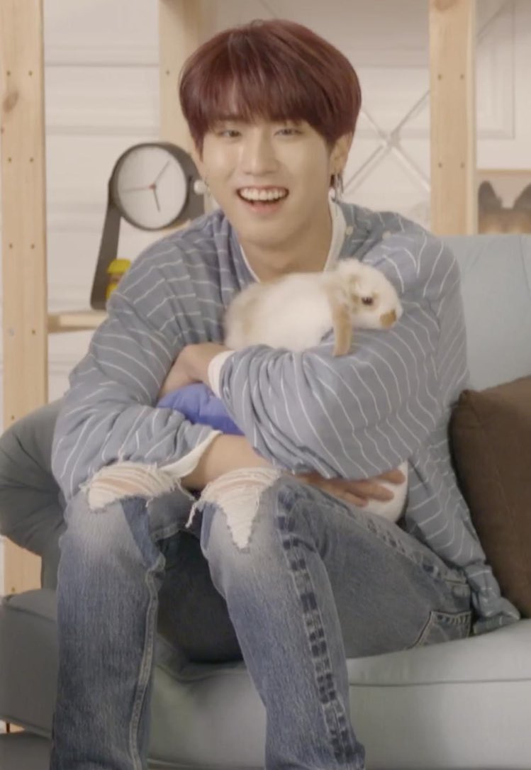 with a pet