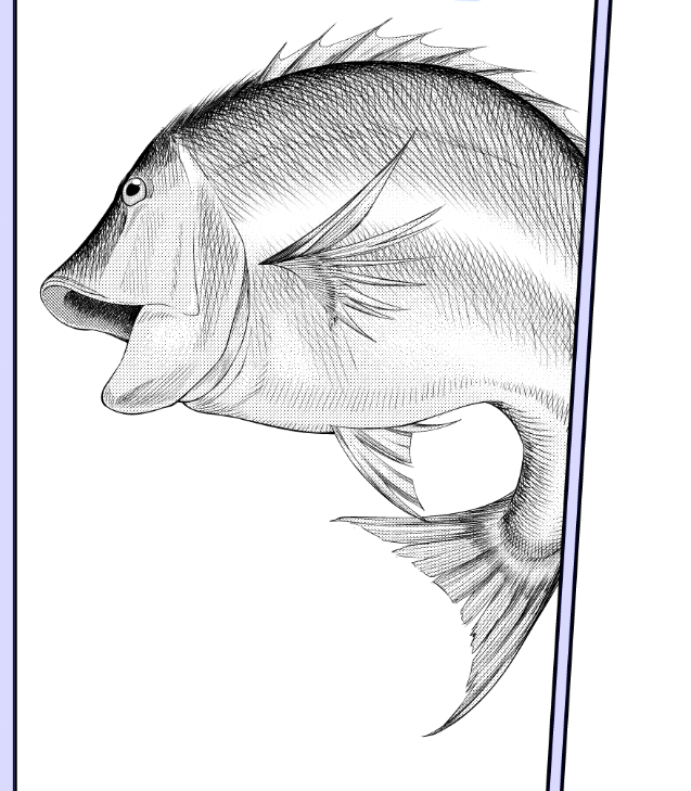 お魚作業工程 