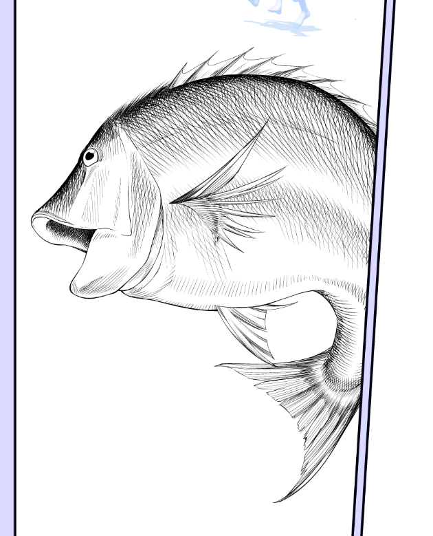 お魚作業工程 