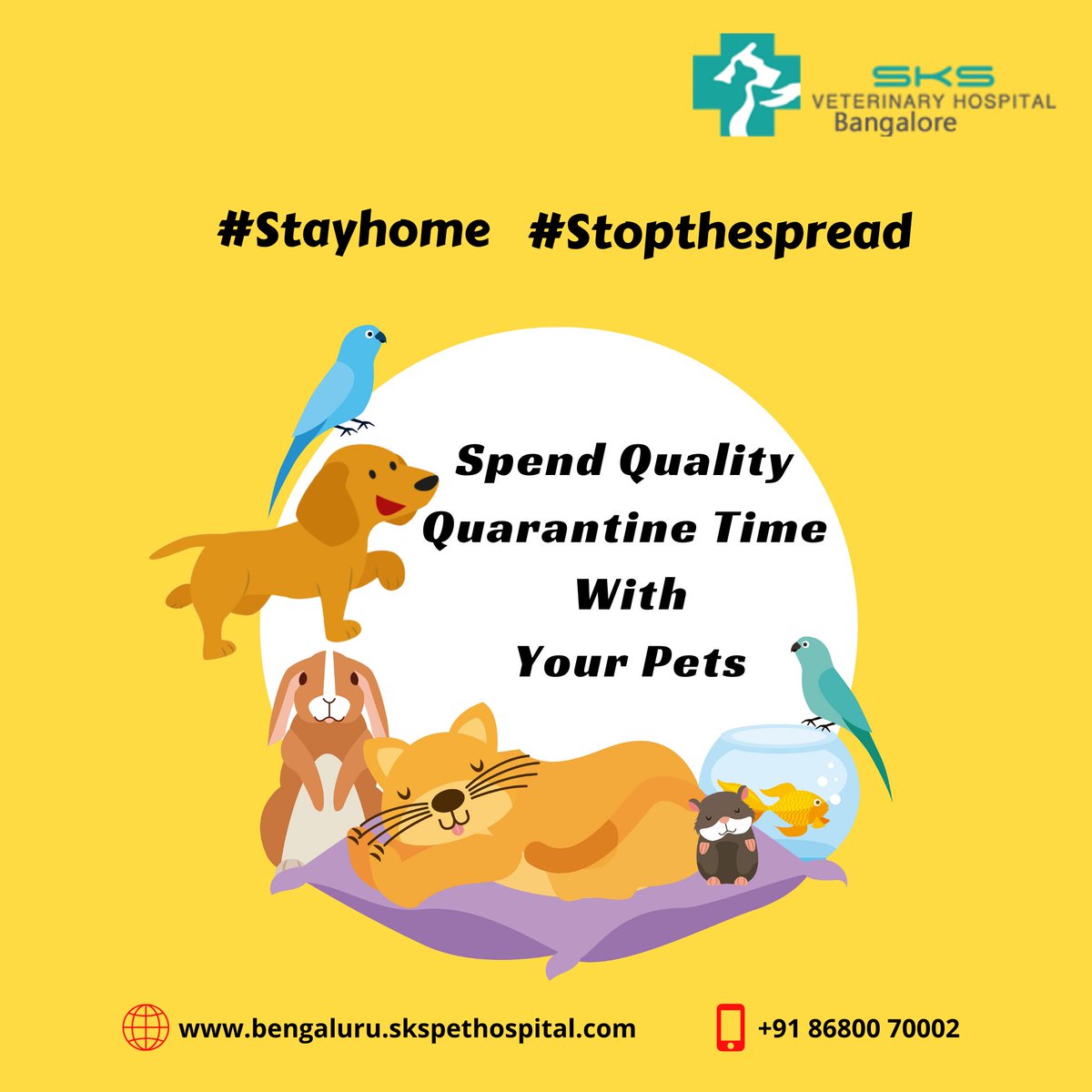 skspetbanglore's tweet photo. Spend Your Quality Quarantine Time With Your Pets.

Visit: https://t.co/mEeUJchnL3
Phone : +91 86800 70002

#stayhome #staysafe #stopspread #Quarantine #sks_pet_hospital_bangalore #pethospital https://t.co/g8djulYtCT