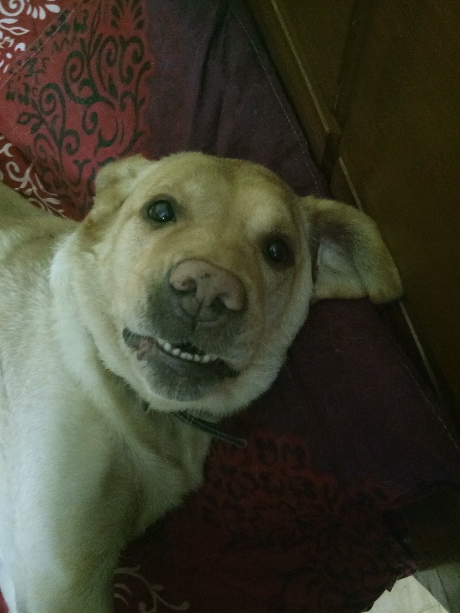 Dedicated to everyone who are enjoying the lockdown because the entire family is at home! #LockdownLooks