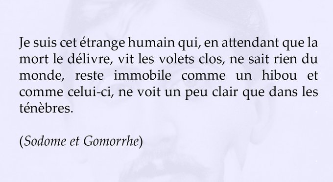 Marcel Proust Confine Volontaire Et Fils D Un Eminent Specialiste Des Epidemies Ne En Eure Et Loir