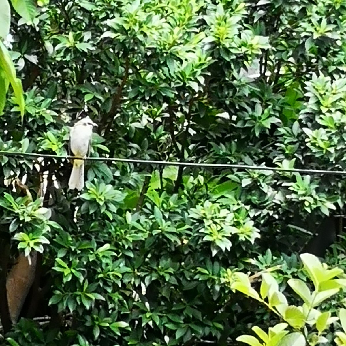 Ruckbuddy tweet media