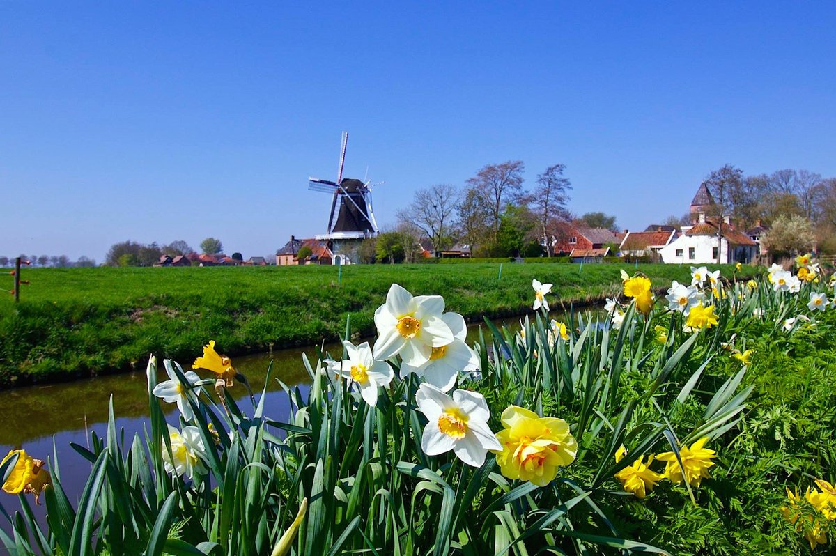 Lente in Westerwijtwerd
#mooigrunnen