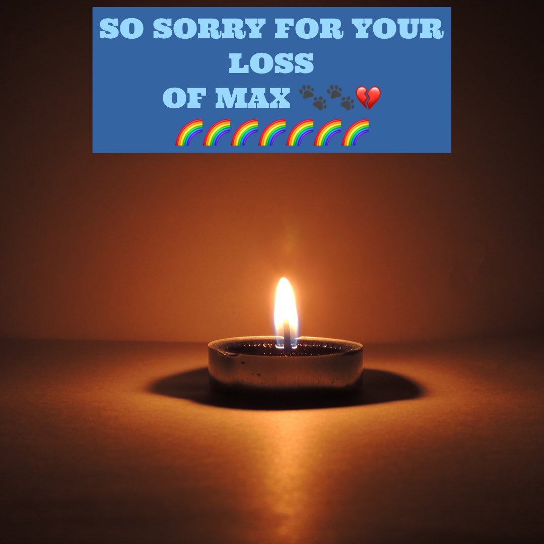 KarenFi51820768's tweet photo. Tragically #Max didn’t make it home 🐾🐾🐕🌈😢 https://t.co/yvzkH98QdL