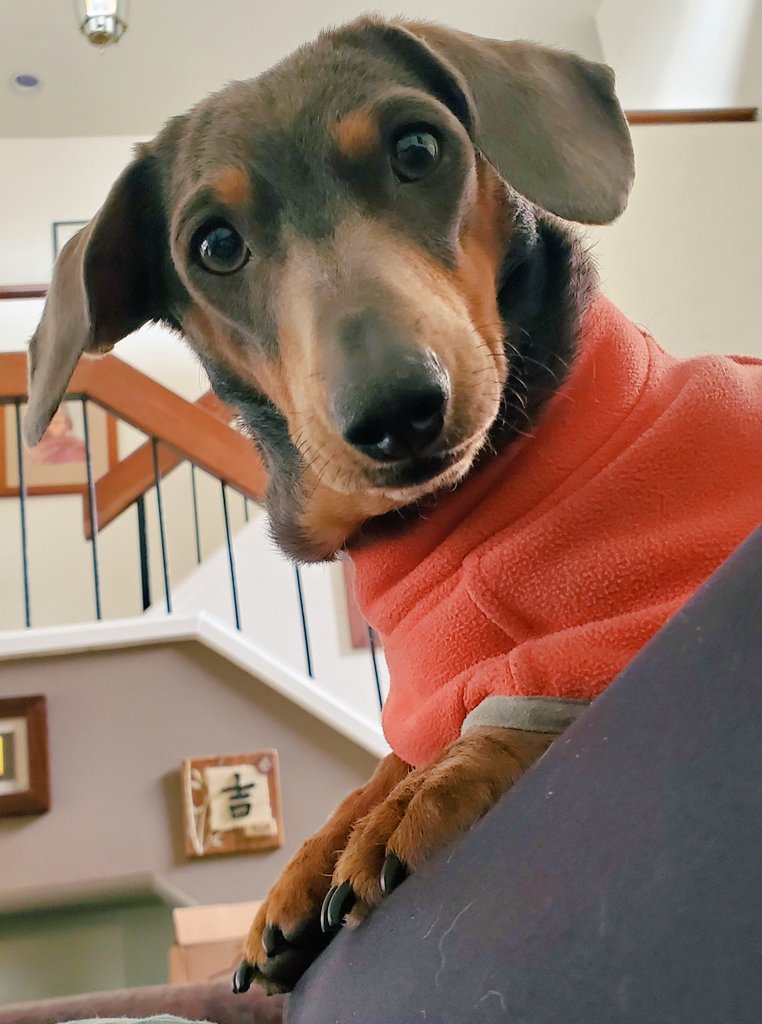 What are you doing down there...on the couch!
#Winda♀️