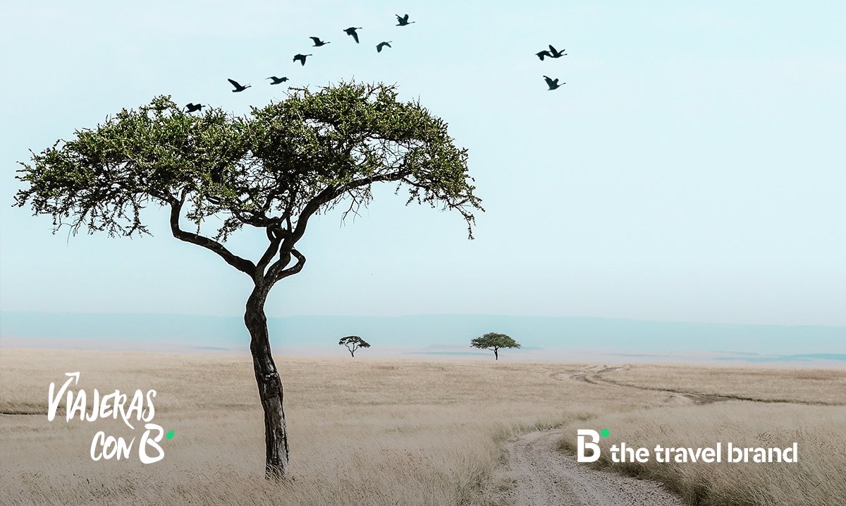 Ya estamos en <a href="/laSextaTV/">laSexta</a> reviviendo el viaje de <a href="/ViajerasconB/">ViajerasConB</a> a #Kenia. ¿Sabes qué fue el último destino en rodarse de la cuarta temporada? Un viaje que cumplió sueños... ¡No te lo pierdas! #ViajerasconBKenia