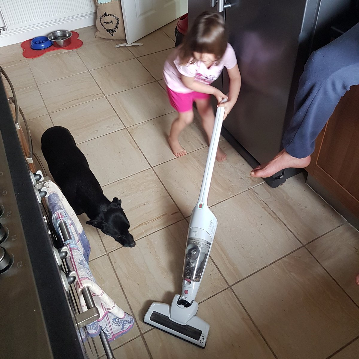 shes getting the hang of it now #hover #cleaning #TaskForce #TaskhaveFun #keepingbusy