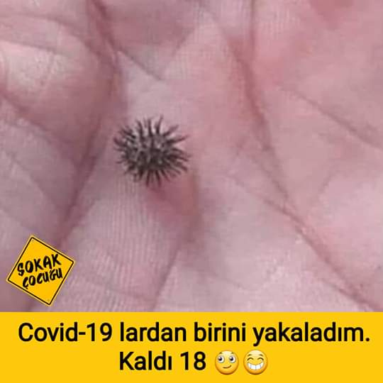Günaydın Hayırlı sabahlar olsun
