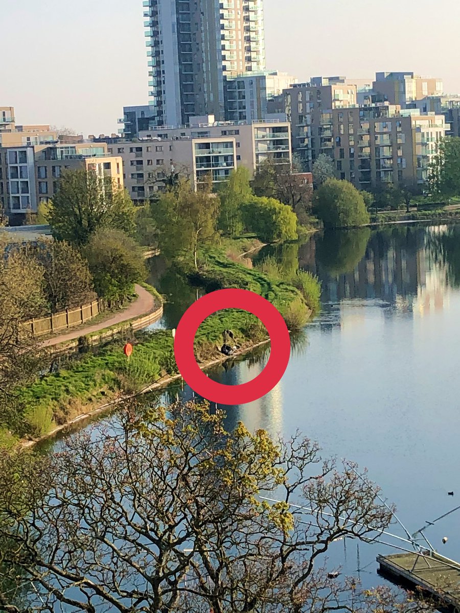verawnikas's tweet photo. @WestReservoir so is the fishing on the reservoir now allowed? I can see total of 5 people around the water 😂 (three more on opposite side) https://t.co/l7hjJWUC3e
