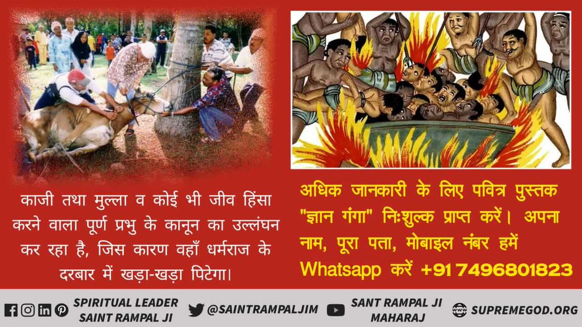 Deepak_das88's tweet photo. #Never_Eat_Meat 
एक तरफ तो आप भक्ति करते हो, और दूसरी तरफ आप बेजुबान निर्दोष जानवरों की हत्या कर उनका मांस खाते हो। सभी जीव परमात्मा की प्यारी आत्मा है, तो फिर मांस खाने से परमात्मा प्राप्ति कैसे होगी?
अधिक जानकारी के लिए अवश्य देखें साधना चैनल 7:30PM https://t.co/6HXIWnzTzq