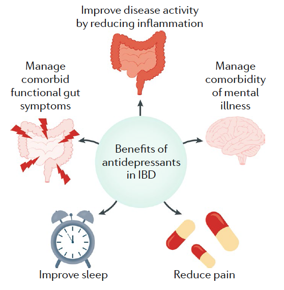 JeanDonet's tweet photo. Antidepressants in IBD @NatRevGastroHep @AntMikocka @alex_ford12399 @DDrossman 
Functional Gut symptoms are common in IBD 
Depression check is recommended for ALL IBD patients
TCAs, SSRI, SNRI, others -> 🙂pain, sleep, brain, IBD activity? https://t.co/Mddzz21mPW https://t.co/EwpHTSxa7O