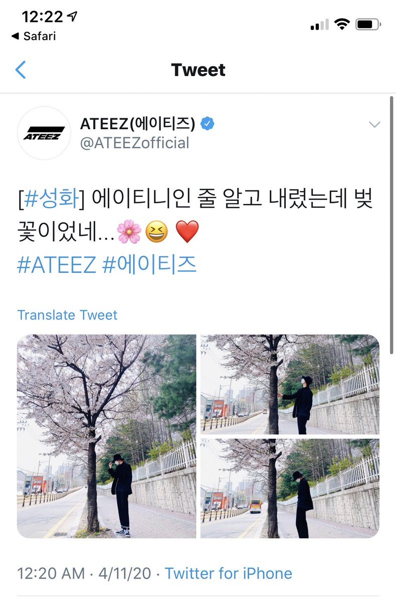 IM SCREAMING.THE CHERRY BLOSSOMS.You're prettier than the flowers, Hwa 