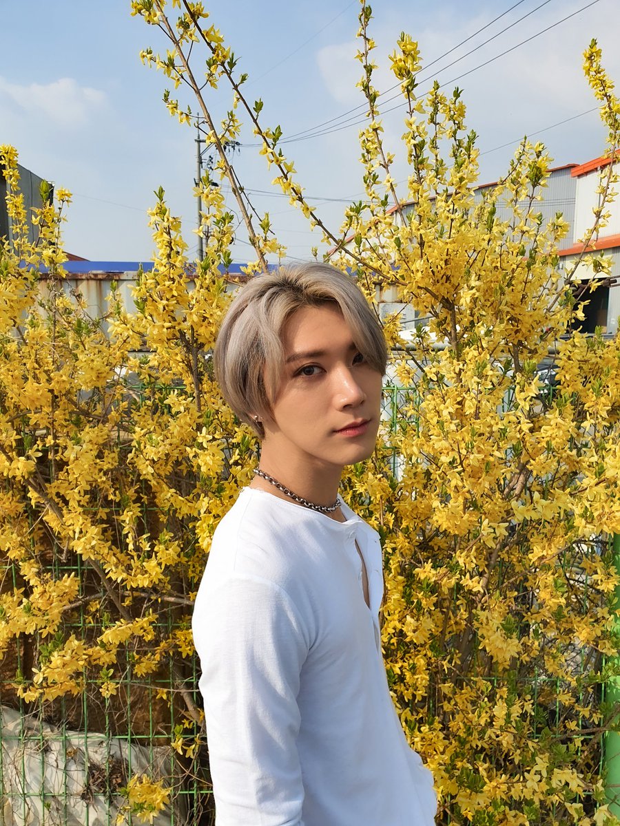 TEN_Charts's tweet photo. 2020-04-10
HIGHTEST RANK📈
#tenlee_1001
No. 17 in Thailand
⏩https://t.co/Vr3wsu7H1o
#TEN_Charts
#WayV #威神V #SuperM
#TEN #TenChittaphon #李永钦 #텐 #เตนล์ #テン https://t.co/rbcaZf193Y