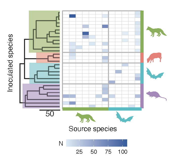 rbiek's tweet photo. Our new preprint - Dynamics of viral index infections in novel hosts (using rabies virus as a model)  https://t.co/VDfWUxW5X8 brilliant work by Nardus Mollentze with @hampson_katie @PabloRMurcia @DanielStreicker. Took several years, quite proud of this one! https://t.co/jW7KeNPh2J
