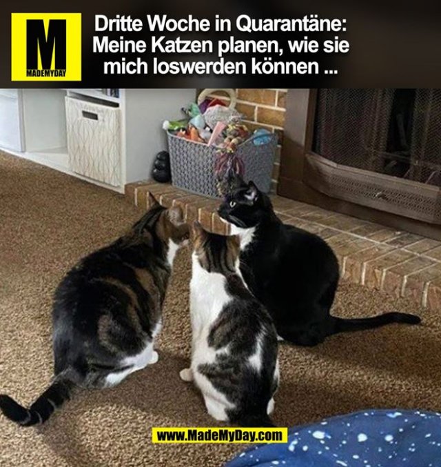 MadeMyDaycom's tweet image. 