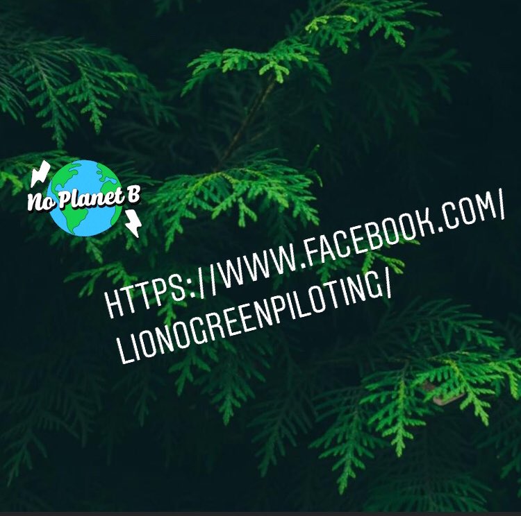 Aidez-nous à concevoir une application mobile qui permettra à chacun d’évaluer, suivre et améliorer son impact sur l'environnement en rejoignant notre communauté de bêta-testeurs: facebook.com/lionogreenpilo…