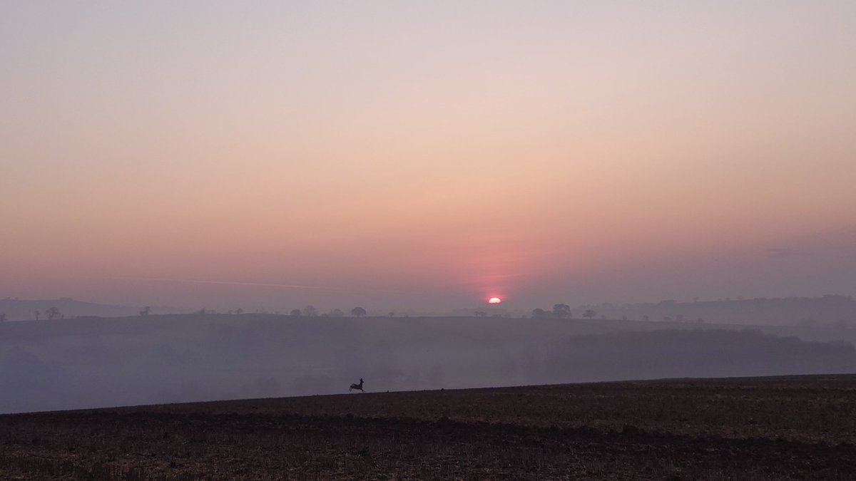 milkshakelady89's tweet photo. Perfect start to the day watching the sun rise https://t.co/ILMsUAy81D