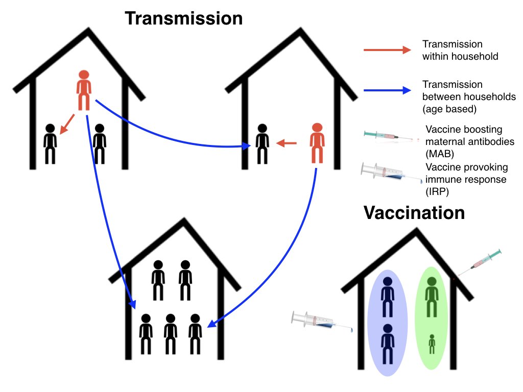 James Nokes (@nokesdj) on Twitter photo There are other viruses to be concerned about. RSV is the most important cause of early childhood pneumonia. This household structured modelling study explores different options for vaccine control in LMIC elifesciences.org/articles/47003 <a href="/KEMRI_Wellcome/">KEMRI-Wellcome</a> <a href="/WarwickSBIDER/">Warwick Uni SBIDER</a> There are other viruses to be concerned about. RSV is the most important cause of early childhood pneumonia. This household structured modelling study explores different options for vaccine control in LMIC elifesciences.org/articles/47003 <a href="/KEMRI_Wellcome/">KEMRI-Wellcome</a> <a href="/WarwickSBIDER/">Warwick Uni SBIDER</a>