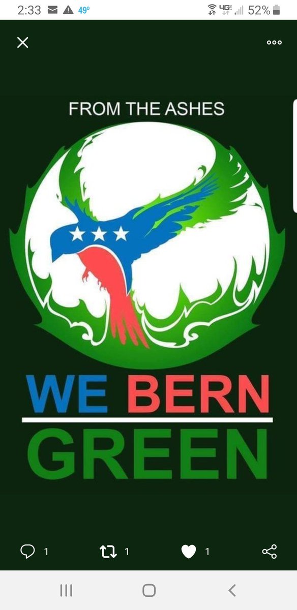 MasterHellKat's tweet photo. @IrishForBernie @JustinBGreen1 @Double_Lope @DNC @HowieHawkins #GreenParty2020

#NeverBidenNeverTrump

#GoingGreenNow 💚

#HowieHawkinsHasMyVote 

Please think about continuing to vote for #M4A and#GND 

#NotMeUs 💙💚💙 https://t.co/QayzizHfpN
