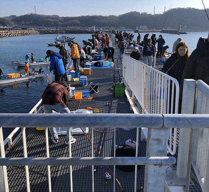 けんず 愛知の豊浜漁港にある豊浜釣り桟橋では混雑のため密集 密着状態になるので控えた方が安心かも クラスター発生の噂も出ています 釣り コロナ 豊浜漁港 豊浜釣り桟橋 クラスター イワシ