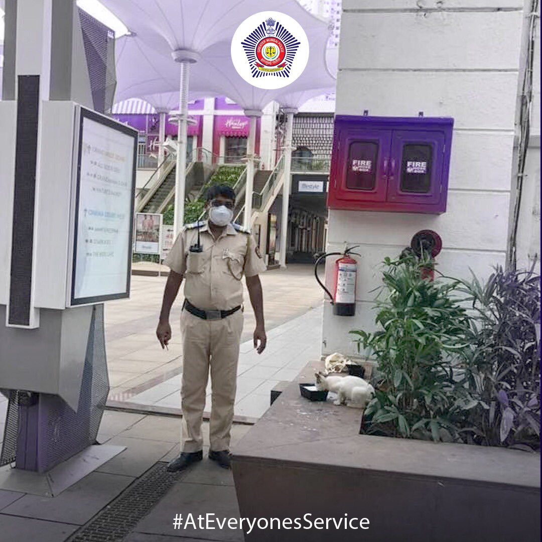 MumbaiPolice's tweet photo. Police Naik Suhas Sonawane has certainly added to the 'Paw-someness' of Mumbai Police by going beyond the line of duty for our furry friend #AtMumbaisService #AtEveryonesService #TakingOnCorona https://t.co/I1Gjz8fnNA