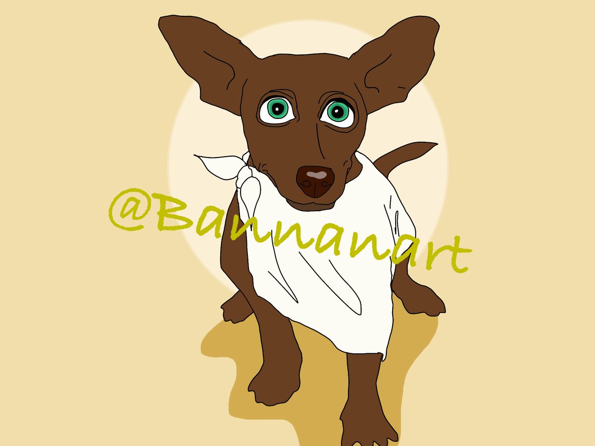 bannanart's tweet photo. Los dueños de Podencos tenemos a los Elfos Domésticos del mundo Muggle.
#dobby #harrypotter #elfodomestico #elfolibre #podenco #maneto #podencosofinstagram #podencos #perros #doglover #adoptanocompres #adopt https://t.co/0AplG3gdtR
