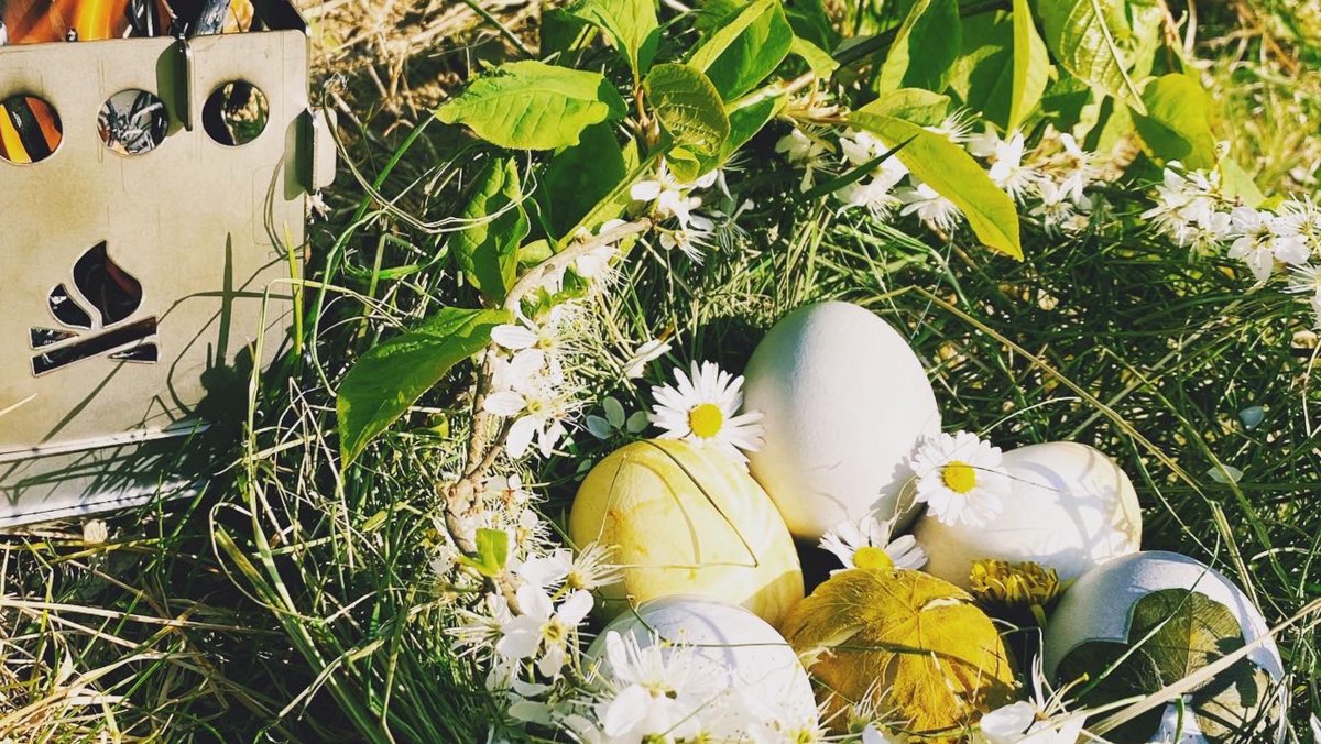 Bushcraft Essentials tweet media