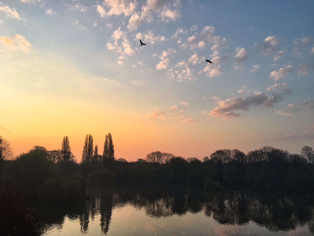 ruths_gallery's tweet image. A beautiful start to the hottest day of the year so far at #Twickenham. 

Please #StayHomeSaveLifes and if you go must out make  #SelfDistancing a prerogative. #COVIDー19 is taking too many lives 🙏🏻

@ThePhotoHour @StormHour #loveukweather #ruthiebabes