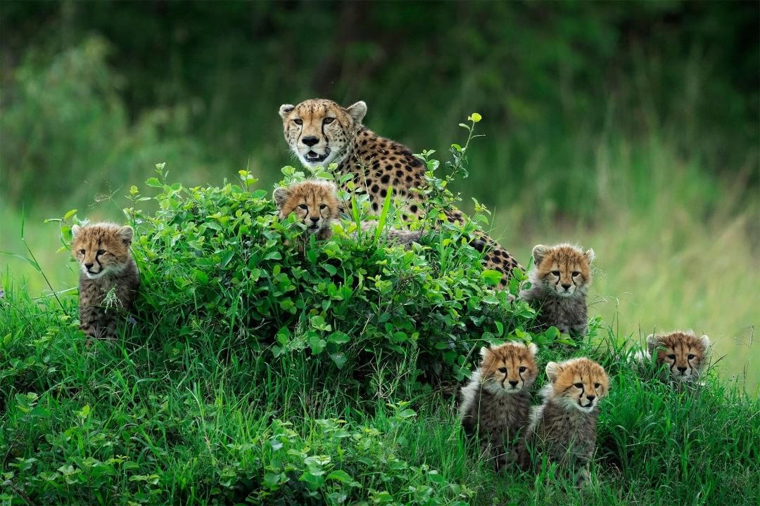 GuideJeho's tweet image. "Hakuna matata" no trouble ,,stay home and keep distance tomorrow need you to travel ..we got magical ,quality and affordable deals after the pandemic
#keep memories not dreams