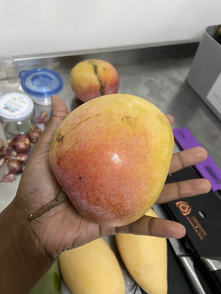 This big head dude r2e2 is likely a Thai mango cross bred with aussie Bowen mangoes (thx for reminding me  @hp88). Big boned but thin skinned 