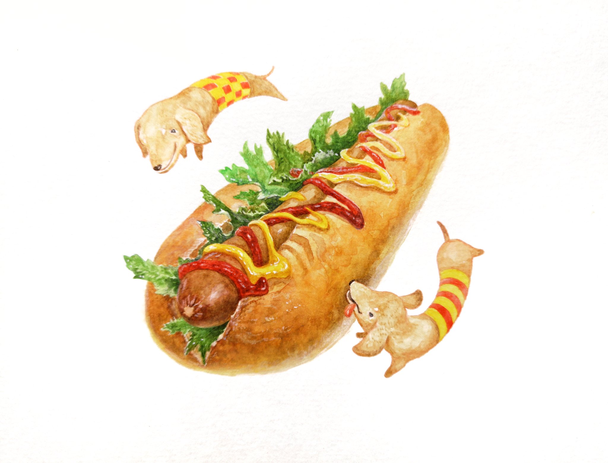 Hirotoshi Kanou Twitterren ホットドッグとダックスフント 透明水彩で着彩 ながーい組み合わせ ホットドッグ 犬の絵 ダックスフント Hotdog 透明水彩 イラスト好きな人と繋がりたい 絵すきな人と繋がりたい 犬好きさんと繋がりたい カフェメニュー