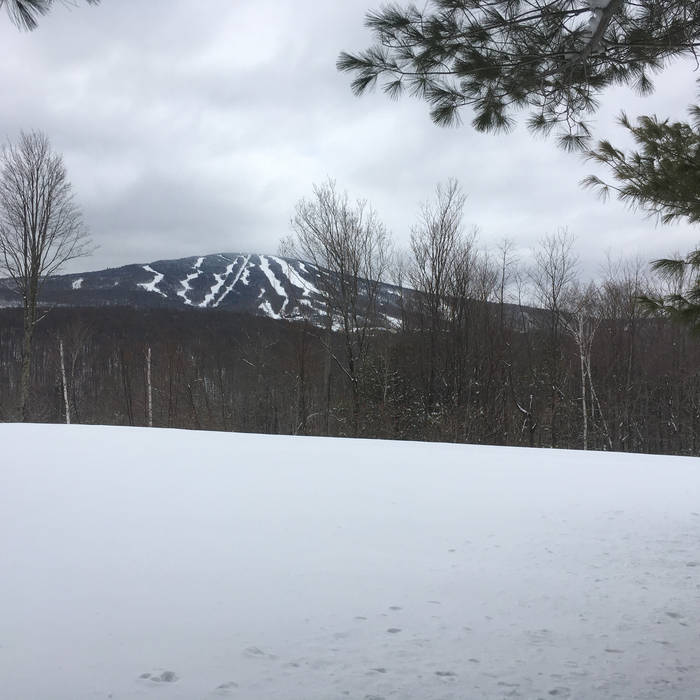 Pod of the Planet tweet media