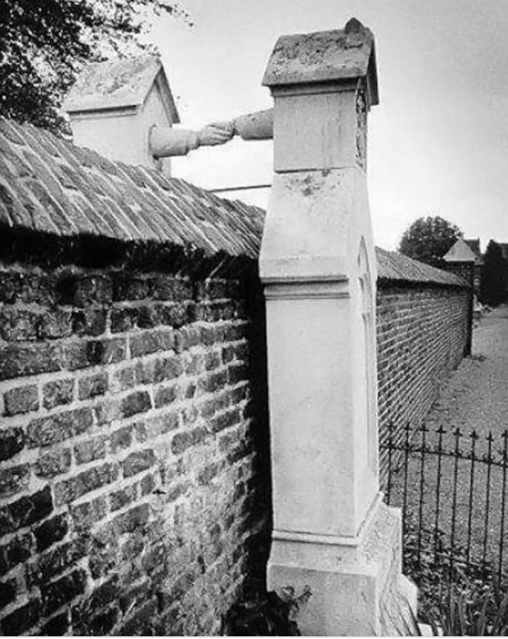 Nil By Mouth tweet media