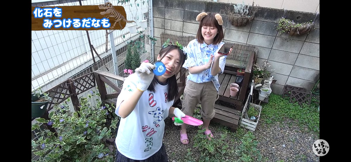 シルフ En Twitter 今日のいちなる動画 どっきり 借金返済 家がいきなり どうぶつの森 ドッキリ仕掛けてみた あつまれ どうぶつの森 今回は リアルどうぶつの森 凄い楽しそう そして 一回体験してみたい いっちーは借金を返済する