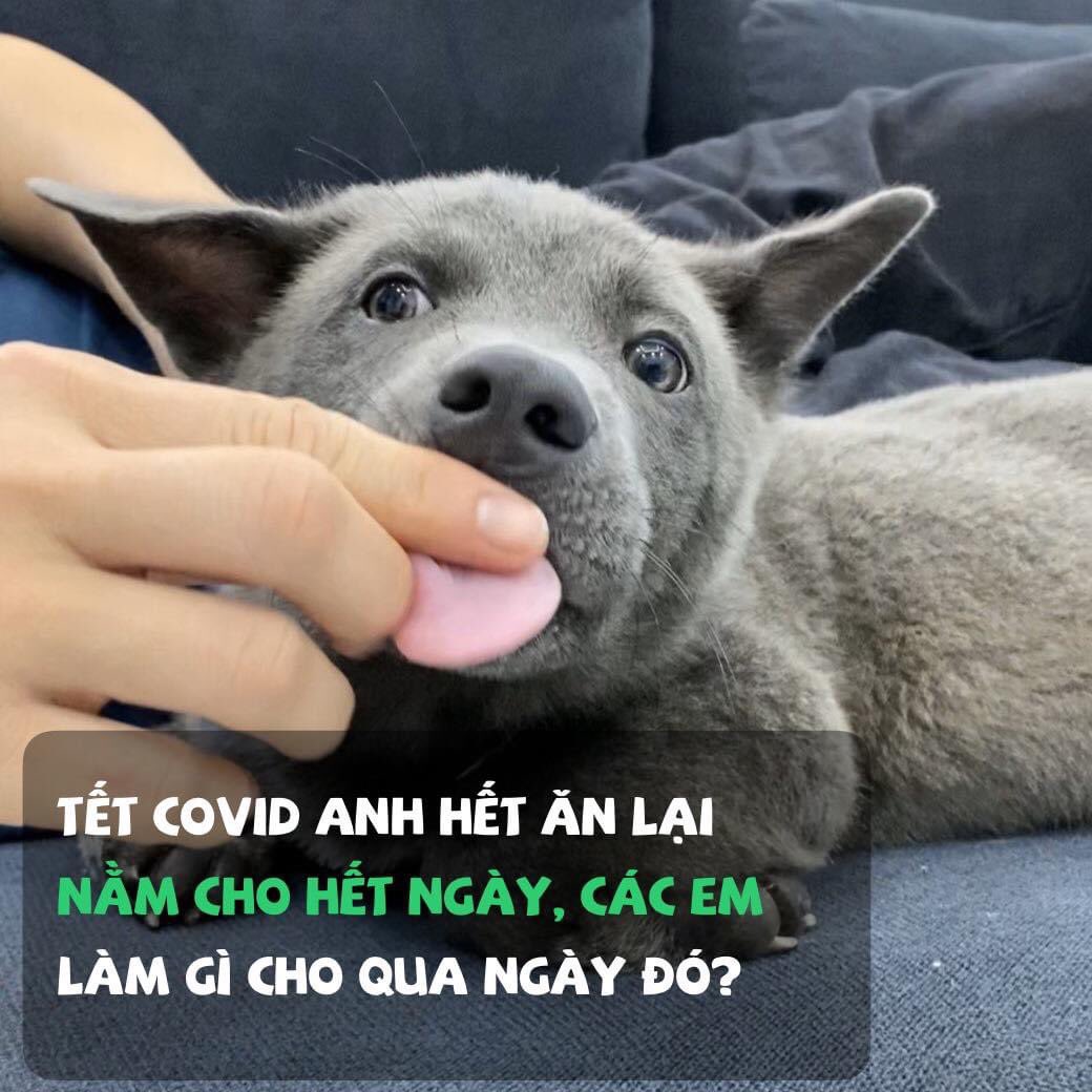 Nguyễn Văn Dúi tweet media