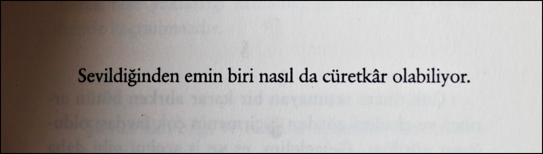 Sigmund Freud, Mutluluk Dediğimiz Şey (s.18)
.