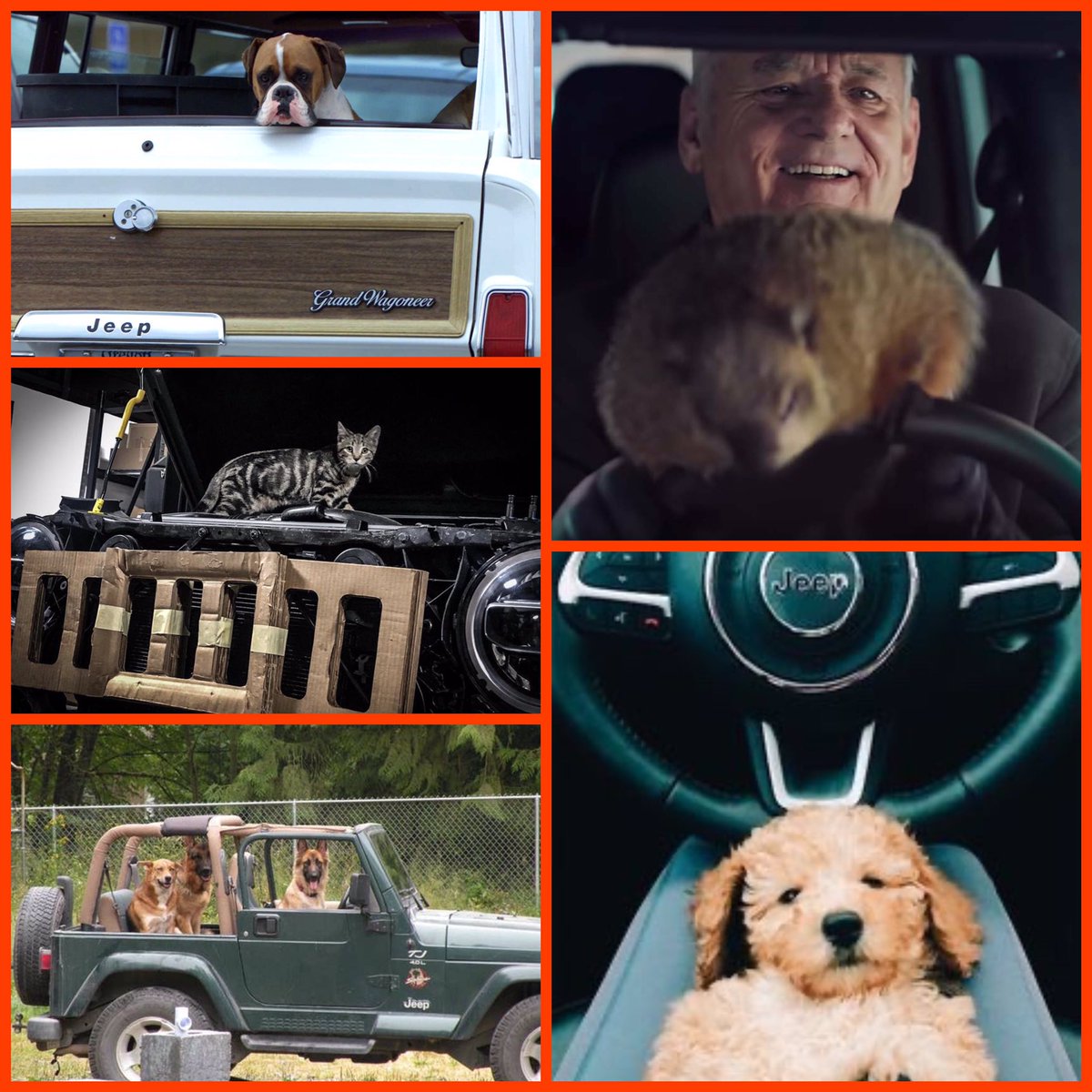 THEJeepMafia's tweet photo. Good morning @THEJeepMafia! It’s #NationalPetDay and if there is one thing we love (other than Jeeps), it’s animals! Do you have a one of a kind Jeep pet or a trusty Jeep dog? Post em up, we’d love to see them!! #jeeplife #Jeep #JeepPets https://t.co/yNK7aH38Sw