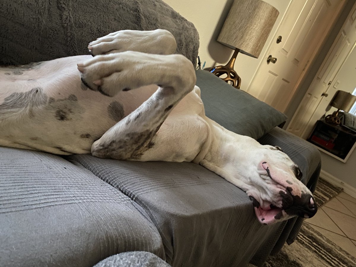 austelli's tweet photo. #IwokeuplikethiS https://t.co/j9M1AKFWUg