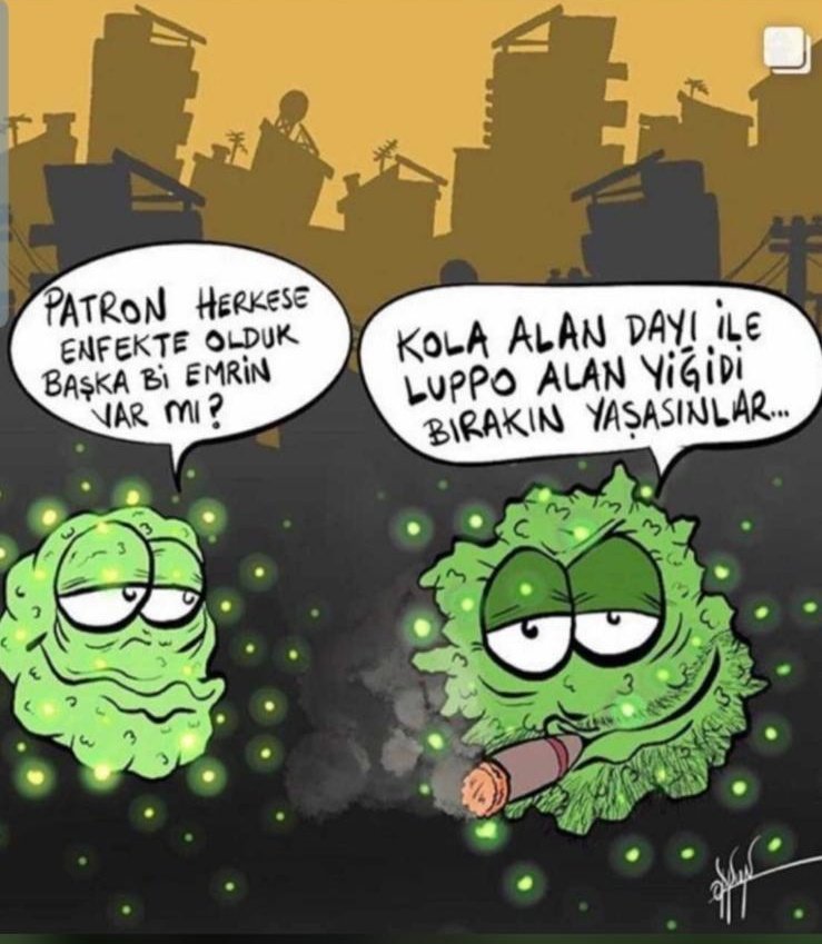 #sokagacikmayasagigeldi