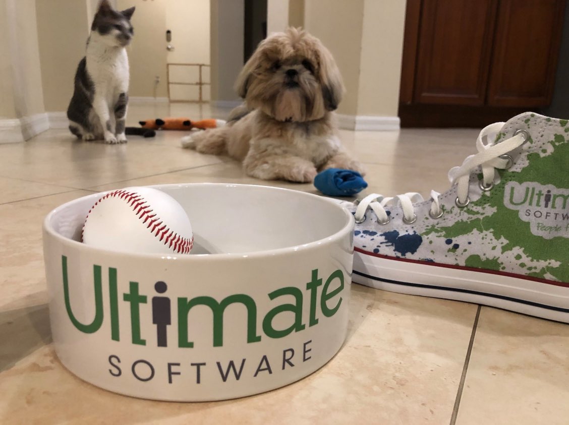 UKGInc's tweet photo. Happy #NationalPetDay from #Kronites' and #UltiPeeps' furry family members! @UltimateHCM https://t.co/zUcHHWQiet