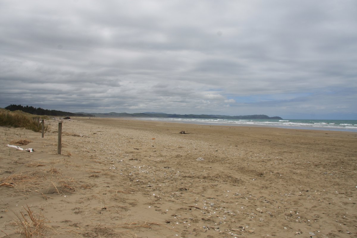 Near Taumata-long-name is Te Paerahi Beach (aka Porangahau Beach for a nearby town). Technically this is still just north of the Wairarapa. First shot shows the southern end of the beach; second looks north to Blackhead. I thought the dunes conservation sign was cute.