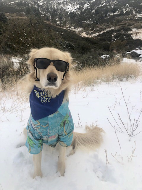 There’s snow place like home #quarantinevibes ❄️