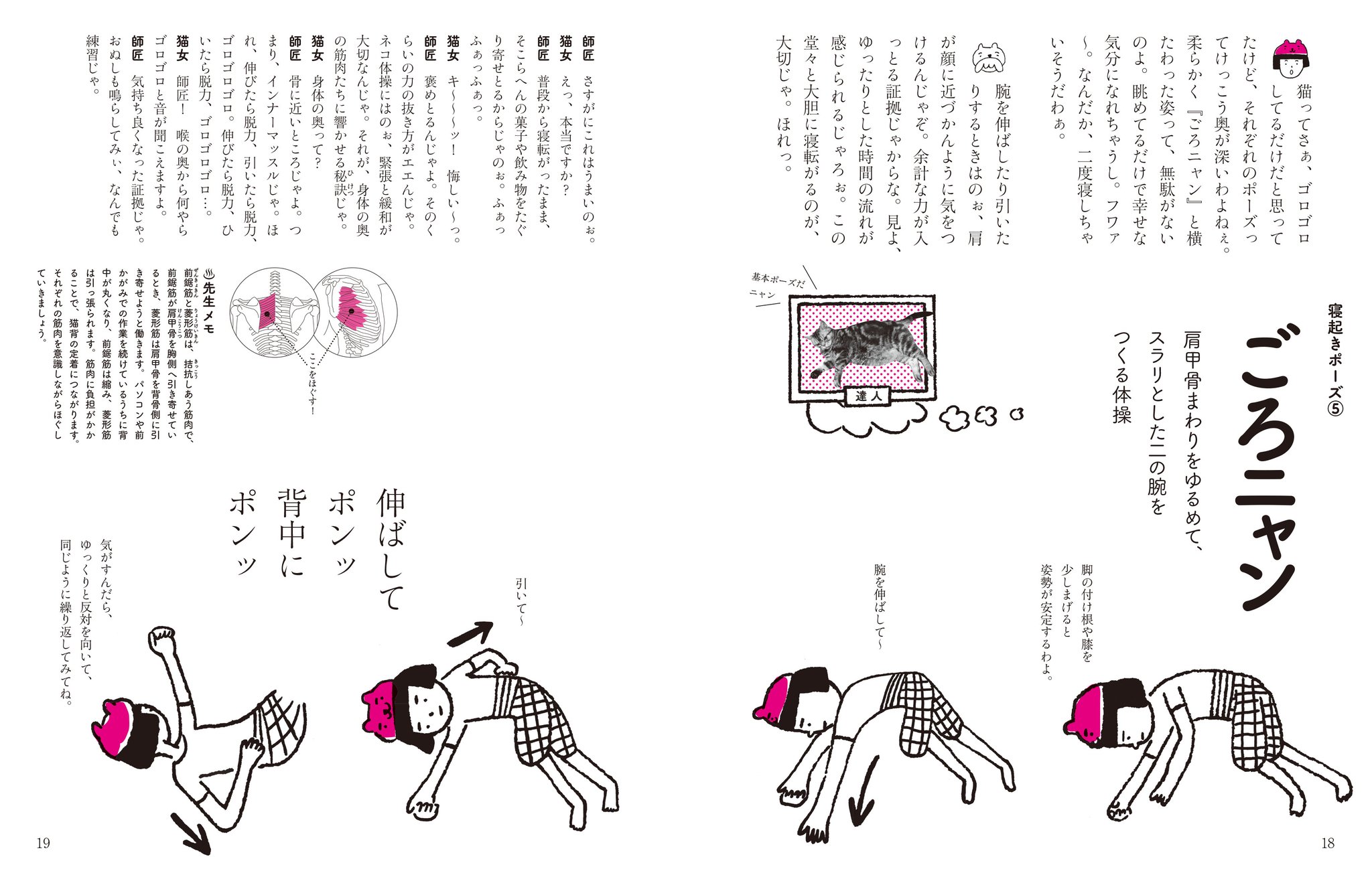 求龍堂 運動不足になりがちなあなたにお部屋でゆるゆると出来る ゆるゆるネコ体操 寝起きの際のポーズ 肩甲骨 まわりをゆるめて すらりとした二の腕をつくる体操 ごろニャン ゆるゆるネコ体操 体操 文 木