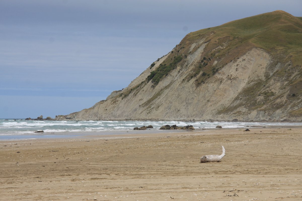 Near Taumata-long-name is Te Paerahi Beach (aka Porangahau Beach for a nearby town). Technically this is still just north of the Wairarapa. First shot shows the southern end of the beach; second looks north to Blackhead. I thought the dunes conservation sign was cute.