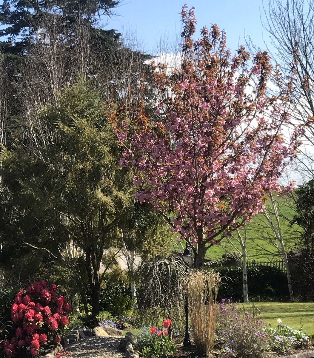 Kieran A. O'Connor tweet media